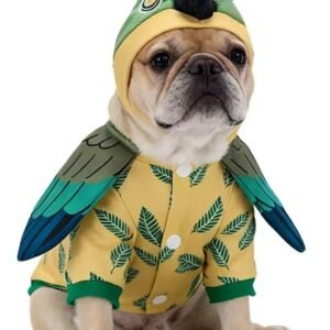 Cute Feather Explorer Dog Gear
