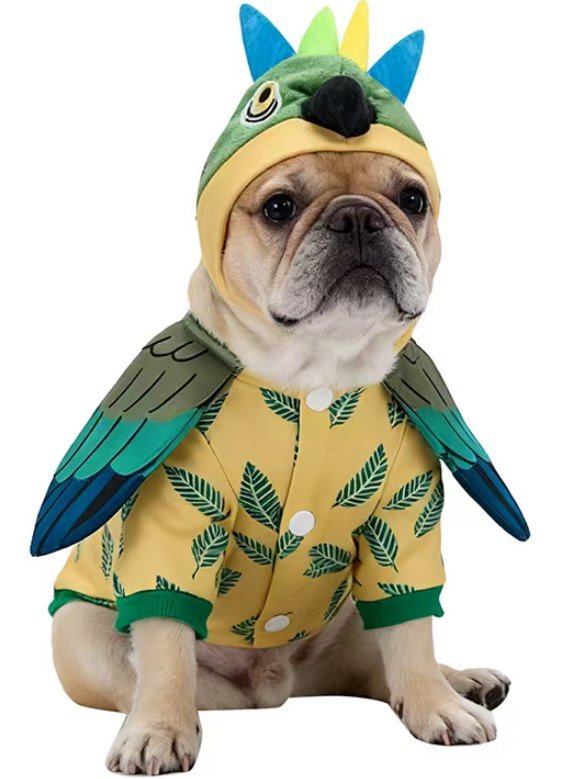 Cute Feather Explorer Pet Gear