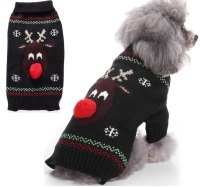 Cute Girl Sweater