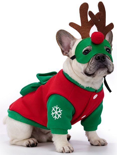 producto para mascotas