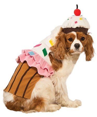 Delicious Cake Suit With Hat MQ-SDZ67