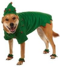 Pet Product