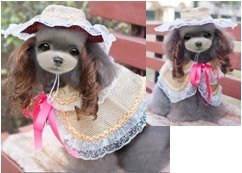 disfraz Elsa Princess para perros Hat + Wig Cape