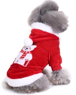 Embroidered Christmas Bear MQ-SDZ43
