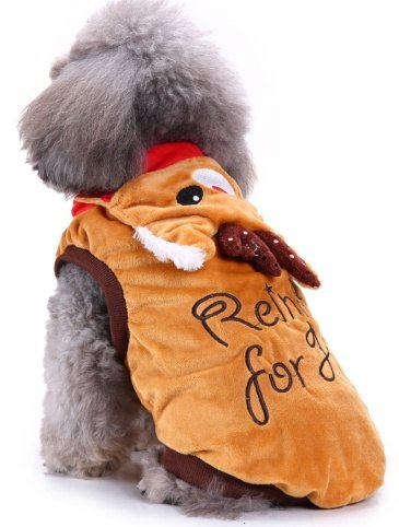 Pet Product
