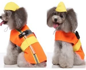 Engineer Transformation Dog Costume Set (Hat +