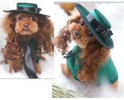 EVA Pet Costume Set With Hat Wig Cape Dark Green