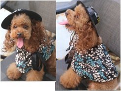 EVA Pet Costume Set With Hat Wig Cape Floral Pattern