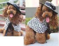 disfraz EVA para perros Set Hat Wig Cape Polka