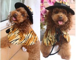 EVA Dog Costume Set With Hat