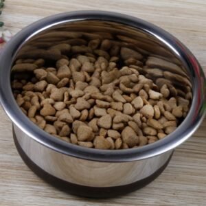 Extra Large Deep Wide-Rim Rubber-Coated Pet Bowl