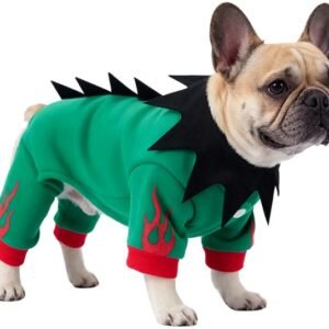 Flame Spiked Dinosaur Dog Costume