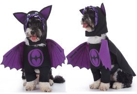 Flying Devil Costume Set Clothes