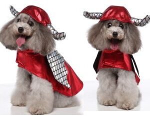 Flying Wing Beast Dog Costume MQ