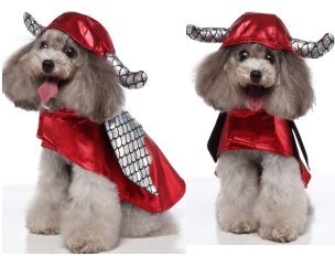 Flying Wing Beast Dog Costume MQ