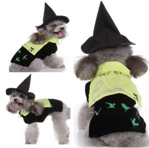 Flying Wizard Dog Costume MQ