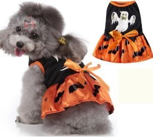 Ghost Bat Dog Dress MQ