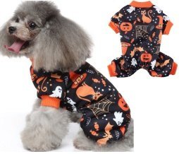Ghost Night Cat Halloween Cat Outfit