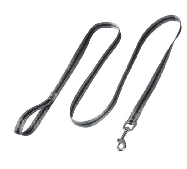 Glow-In-The-Dark Dog Leash