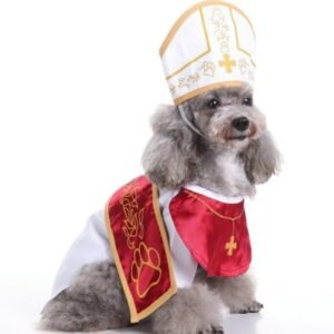 disfraz Godfather para perros Hat