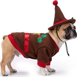 Golden Deer Red Top Christmas Dog Costume