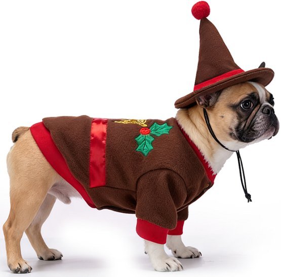 Golden Deer Red Top Christmas Costume Set (Hat + Outfit)