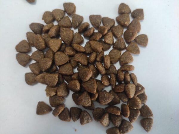 Pet Cat Product