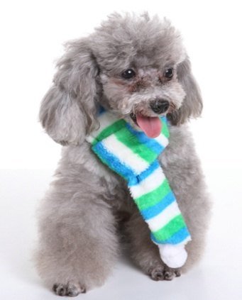 Green White Christmas Dog Scarf S
