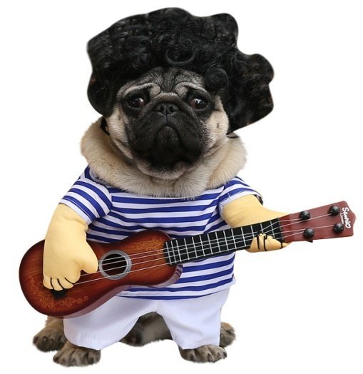 disfraz Guitarist Standing para perros