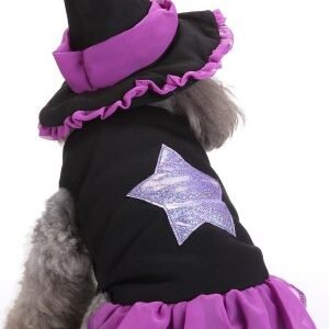 disfraz Halloween Wizard para perros