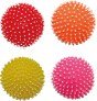 pelota Hedgehog para perros without sound