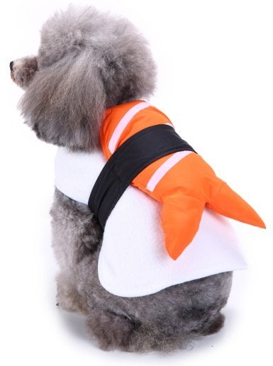 Pet Product