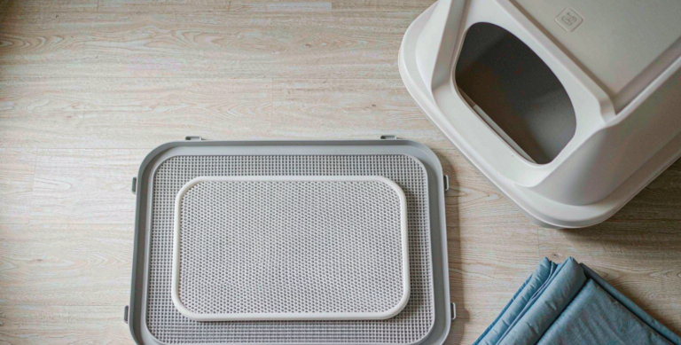 Cat litter mats and a modern litter box arranged on light oak flooring
