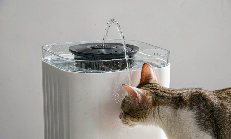White cat water fountain with flowing water and a tabby cat drinking