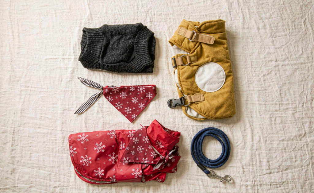 Dog Clothing Dropshipping After Halloween: One Fit Block, Four Seasons