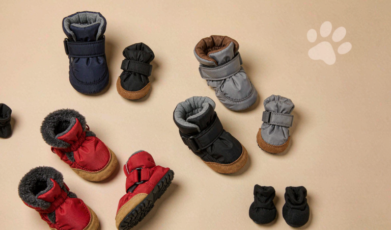 Dog boots and paw protectors flat-lay for independent pet store buyers