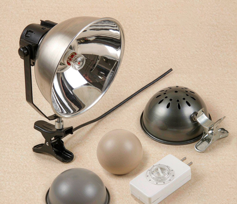 Reptile heat lamp domes ceramic heat emitter and dimming thermostat on a neutral background