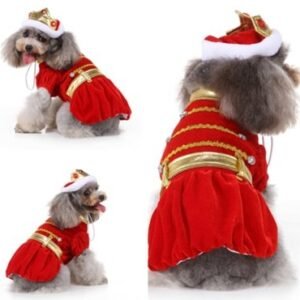 King Dog Costume MQ