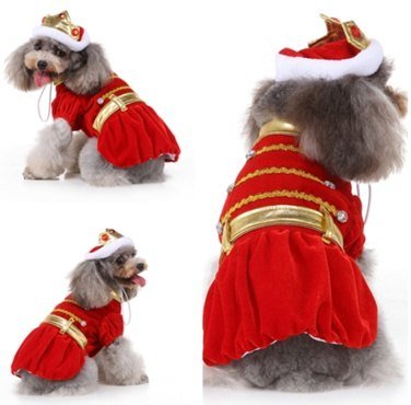 King Dog Costume MQ