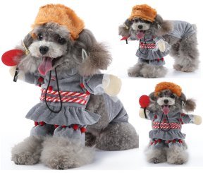Lady Standing Dog Costume Set (Hat+Cloak+Outfit