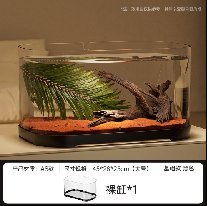 Basic Fish Tank No Lid