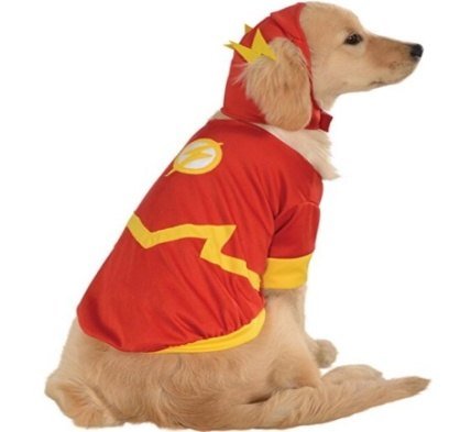 Lightning Paw Set Dog Hat MQ