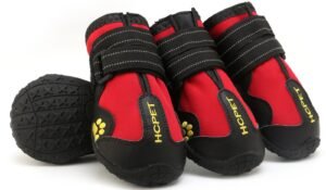 Logo-Free Dog Shoes