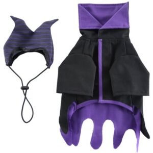 Magic Wizard Dog Costume Set