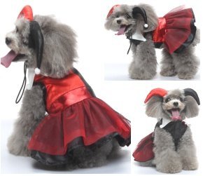 Magician Dress Set SDZ147
