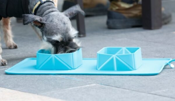 Foldable Travel Feeding Mat