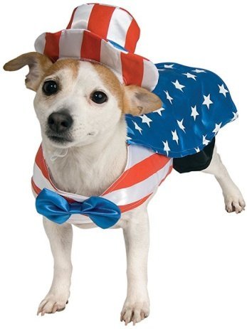 Men's Christmas Suit Dog Hat