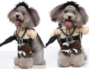 Mercenary Standing Dog Costume