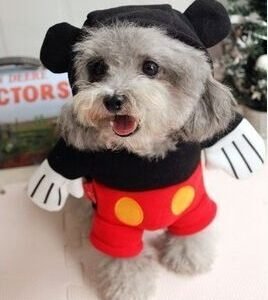Mouse Costume (Clothes + Hat) (Clothes + Hat)