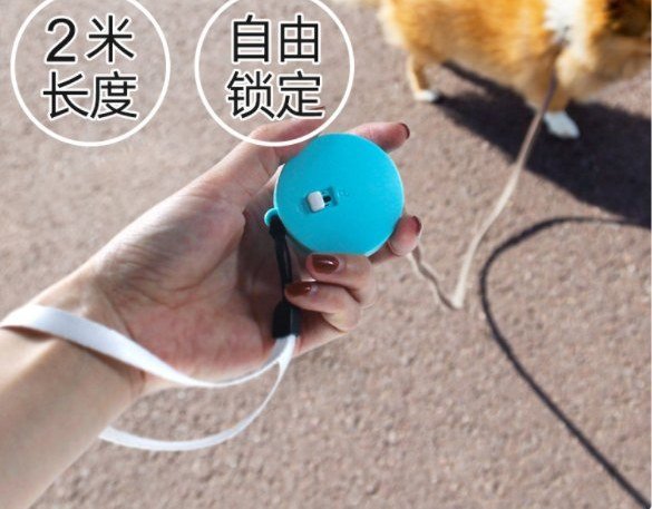 Mini Leash For Dogs Under 5kg